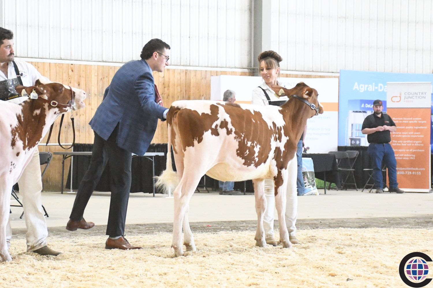 Shows Alberta Holstein Association